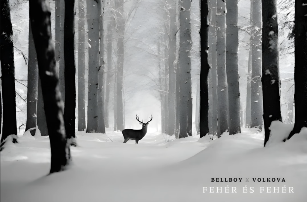 Bellboy feat. Volkova: Fehér és fehér